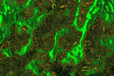 soyut yeşil doku arkaplanı, boşluk duvar kağıdını kopyala