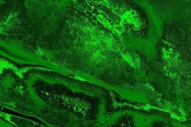 soyut yeşil doku arkaplanı, boşluk duvar kağıdını kopyala