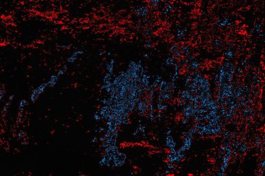 soyut mavi ve kırmızı doku, grunge arkaplan, boşluk duvar kağıdını kopyala