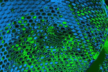 Boşluk duvar kağıdını, grunge arkaplanını, soyut renkli doku arkaplanını kopyala