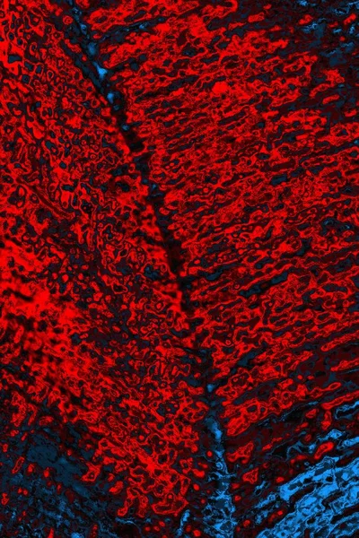 Soyut renk dokusu, grunge arkaplanı, boşluk duvar kağıdını kopyala