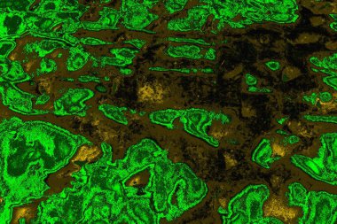 soyut yeşil doku arkaplanı, boşluk duvar kağıdını kopyala