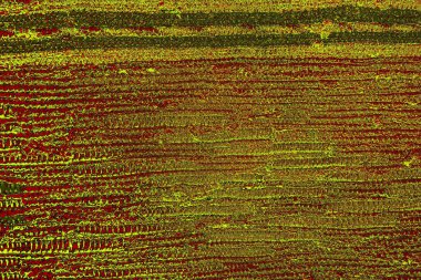 Boşluk duvar kağıdını, grunge arkaplanını, soyut renkli doku arkaplanını kopyala