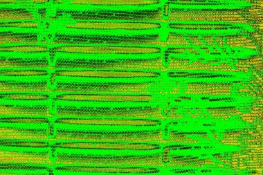 soyut yeşil doku arkaplanı, boşluk duvar kağıdını kopyala