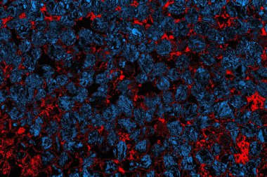 soyut mavi ve kırmızı doku, grunge arkaplan, boşluk duvar kağıdını kopyala