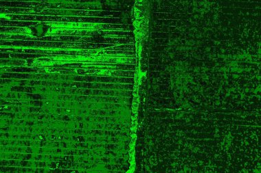 soyut yeşil arkaplan, boşluk duvar kağıdını kopyala