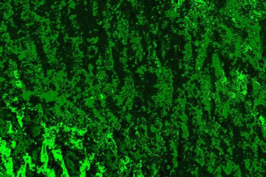 Soyut renk dokusu, grunge arkaplanı, boşluk duvar kağıdını kopyala