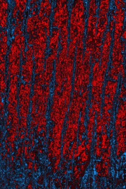 Soyut renk dokusu, grunge arkaplanı, boşluk duvar kağıdını kopyala