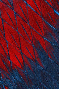 soyut doku, grunge arkaplan, boşluk duvar kağıdını kopyala     