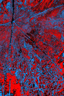 Soyut renk dokusu, grunge arkaplanı, boşluk duvar kağıdını kopyala