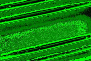 soyut yeşil doku, arkaplan, duvar kağıdını kopyala
