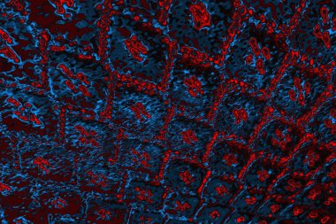 soyut doku, grunge arkaplan, boşluk duvar kağıdını kopyala     