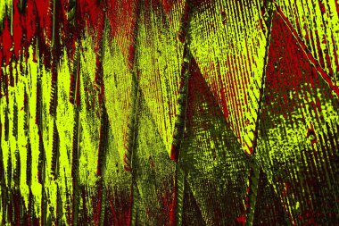  grunge arkaplanı, boşluk duvar kağıdını kopyala, soyut renkli doku arkaplanı