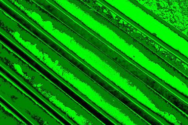 soyut yeşil doku, arkaplan, duvar kağıdını kopyala