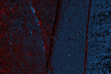 soyut mavi ve kırmızı doku, grunge arkaplan, boşluk duvar kağıdını kopyala