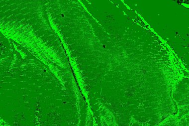 soyut yeşil arkaplan, boşluk duvar kağıdını kopyala