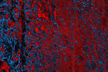 soyut doku, grunge arkaplan, boşluk duvar kağıdını kopyala   