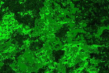 soyut yeşil doku arkaplanı, boşluk duvar kağıdını kopyala