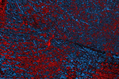 soyut doku, grunge arkaplan, boşluk duvar kağıdını kopyala   