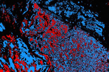 soyut mavi ve kırmızı doku, grunge arkaplan, boşluk duvar kağıdını kopyala