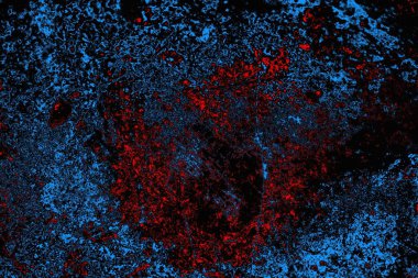 soyut mavi ve kırmızı doku, grunge arkaplan, boşluk duvar kağıdını kopyala