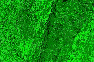 soyut yeşil doku arkaplanı, boşluk duvar kağıdını kopyala