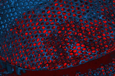 soyut mavi ve kırmızı doku, grunge arkaplan, boşluk duvar kağıdını kopyala