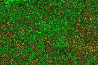 soyut yeşil doku arkaplanı, boşluk duvar kağıdını kopyala