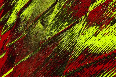  grunge arkaplanı, boşluk duvar kağıdını kopyala, soyut renkli doku arkaplanı