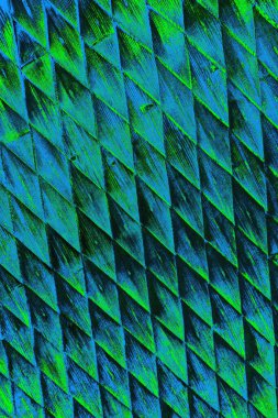 Boşluk duvar kağıdını, grunge arkaplanını, soyut renkli doku arkaplanını kopyala