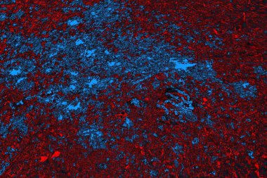 soyut mavi ve kırmızı doku, grunge arkaplan, boşluk duvar kağıdını kopyala