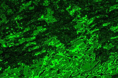 soyut yeşil doku arkaplanı, boşluk duvar kağıdını kopyala