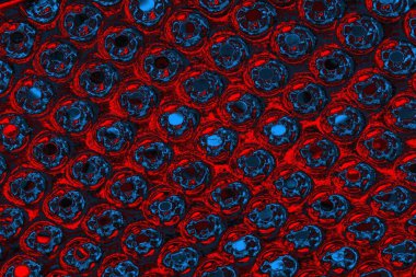 soyut mavi ve kırmızı doku, grunge arkaplan, boşluk duvar kağıdını kopyala