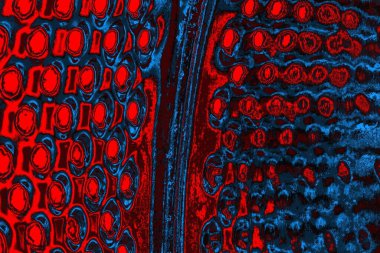 soyut mavi ve kırmızı doku, grunge arkaplan, boşluk duvar kağıdını kopyala