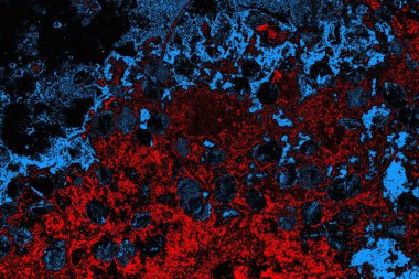 soyut mavi ve kırmızı doku, grunge arkaplan, boşluk duvar kağıdını kopyala