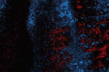 soyut mavi ve kırmızı doku, grunge arkaplan, boşluk duvar kağıdını kopyala