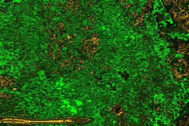 Soyut renk dokusu, grunge arkaplanı, boşluk duvar kağıdını kopyala