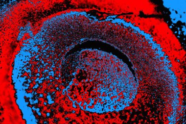 soyut mavi ve kırmızı doku, grunge arkaplan, boşluk duvar kağıdını kopyala