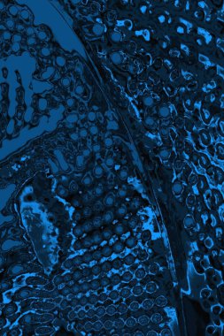 soyut doku, grunge arkaplan, boşluk duvar kağıdını kopyala      