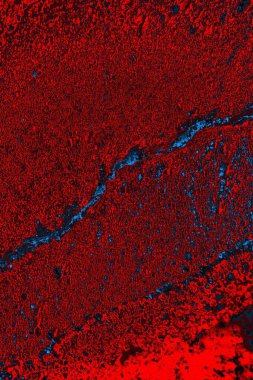 soyut doku, grunge arkaplan, boşluk duvar kağıdını kopyala     