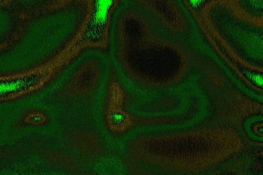 soyut yeşil doku arkaplanı, boşluk duvar kağıdını kopyala