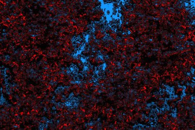 soyut mavi ve kırmızı doku, grunge arkaplan, boşluk duvar kağıdını kopyala