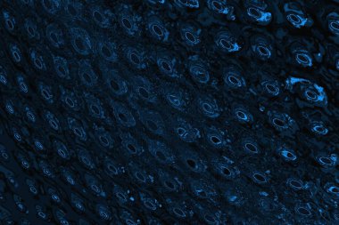 soyut doku, grunge arkaplan, boşluk duvar kağıdını kopyala      