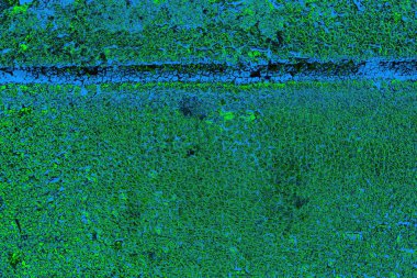 Boşluk duvar kağıdını, grunge arkaplanını, soyut renkli doku arkaplanını kopyala