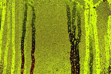 Boşluk duvar kağıdını, grunge arkaplanını, soyut renkli doku arkaplanını kopyala