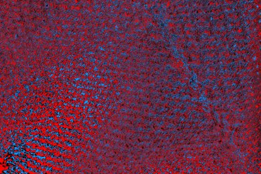 Renkli doku arkaplanı, boşluk duvar kağıdını kopyala