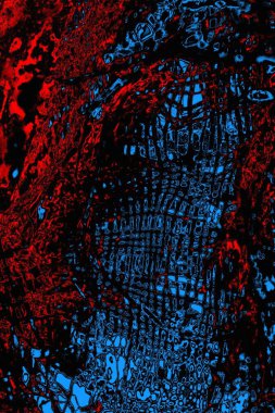 soyut mavi ve kırmızı doku, grunge arkaplan, boşluk duvar kağıdını kopyala