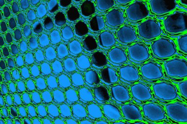 soyut renkli doku arkaplanı, uzay duvar kağıdını kopyala