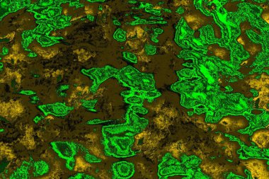 soyut yeşil doku arkaplanı, boşluk duvar kağıdını kopyala