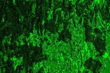 soyut yeşil doku arkaplanı, boşluk duvar kağıdını kopyala